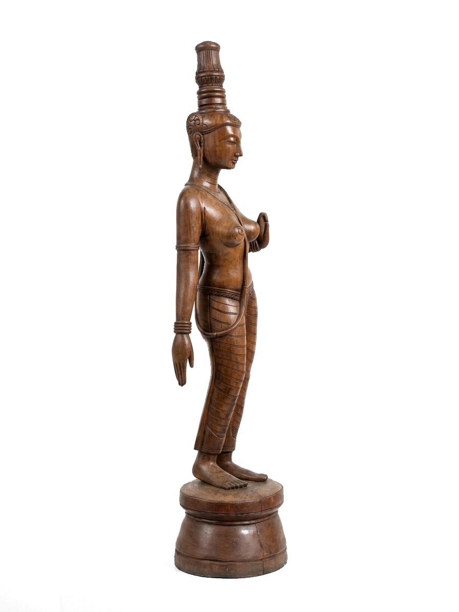 Taradevi Mahogany #008010, image 4 of 4